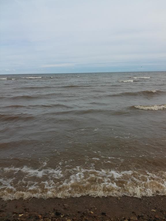 Jaerve Holiday Village Kodavere Zewnętrze zdjęcie