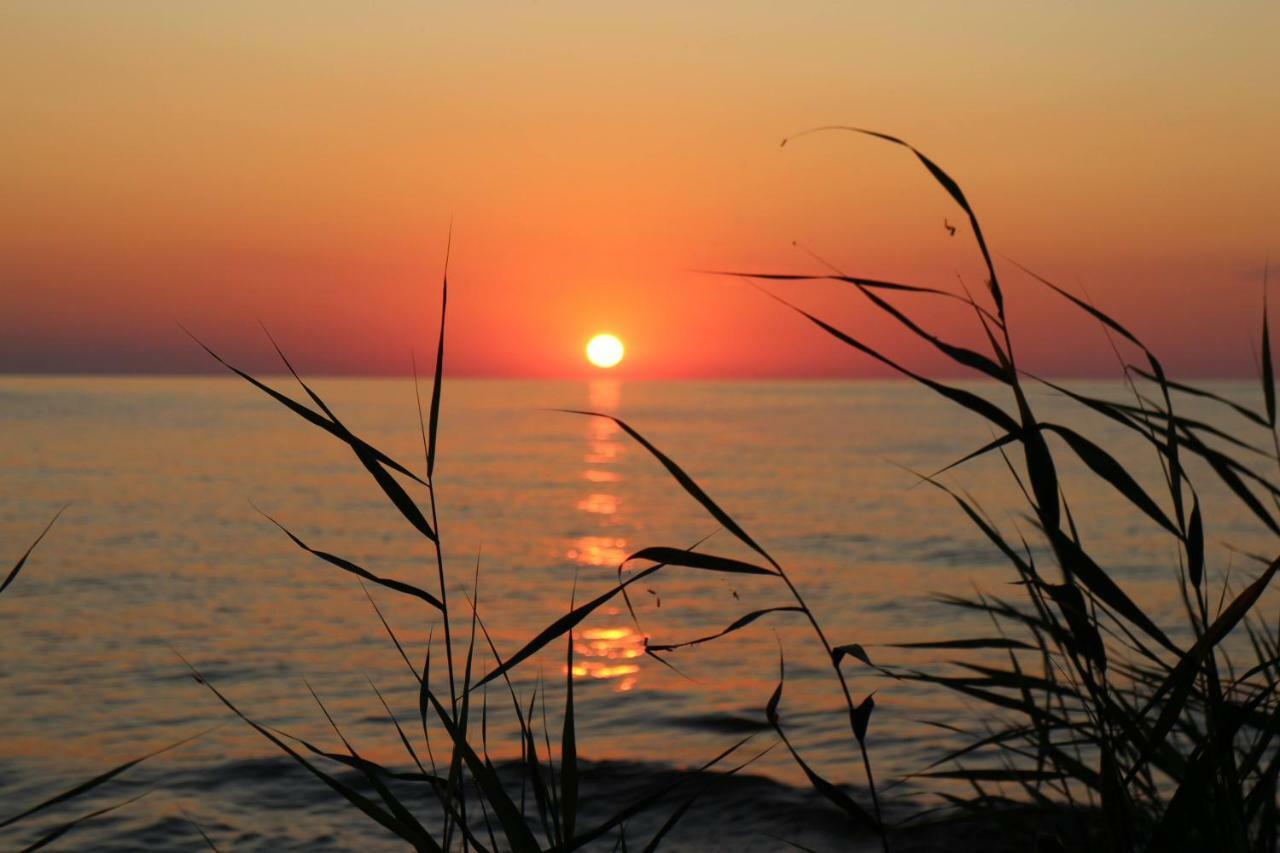 Jaerve Holiday Village Kodavere Zewnętrze zdjęcie